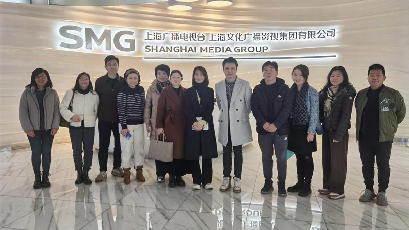 品牌设计：流程解析与价格考量